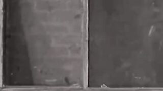 CHARLYCHAPLINE FOU DE RIRE LE MEILLEUR ACTEUR DE TOUT LES TEMPS