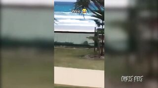 Funny cats and dogs wee
