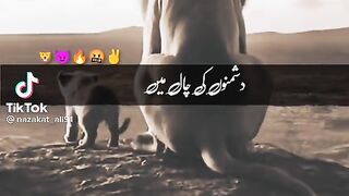 Clips 2