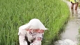 New Funny Scene Upload # latest funny video 2023