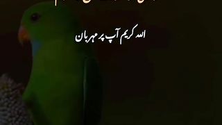 Good morning have a nice day 2