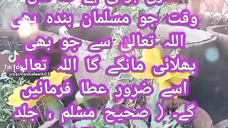 Islamic sarch