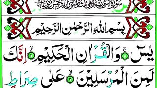 Surah Yaseen Sharif Pani Patti Khubsurat Tilawat _ Tilawat e Quran e Pak _ Learn Recitation.