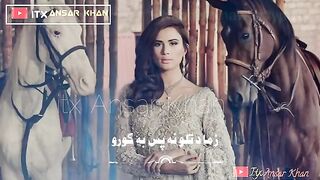 Pashto 16