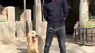 The smartest dog out there! ????