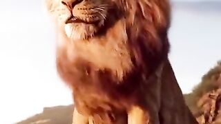 lion attitude status 5