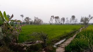 Welcome to my village ????