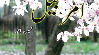 Amarbail novel by Umera Ahmed Epi 41
