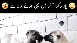 Sabaq Amoz Mahiz Itfaq Haiy????????