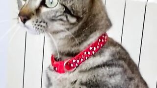 Very curious