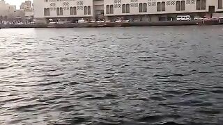 The nature 2