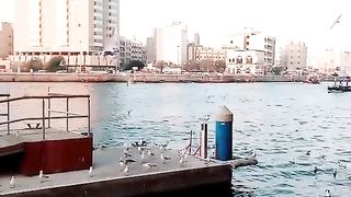 Sea view 2