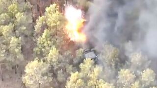 Ukrainian artillery destroys Russian ammunition truck in Kherson