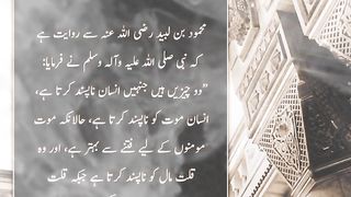 Do chizein jinhy insaan na psnd krta hai #Islamicstatus #teachingsofislam #Spread Islam @Kashafbutt