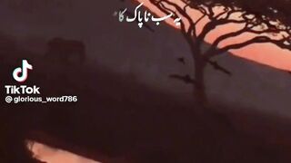 Quran ki piyari batey ❤️ 2