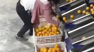 Fruit packing