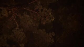 The Last Of Us 2 Abby Aggressive Gameplay ( The Forest )