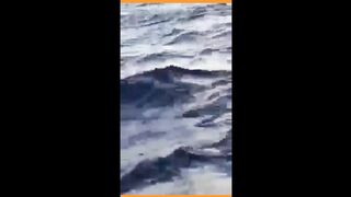 Холодильник спас жизнь рыбаку