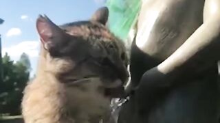 Funny Video