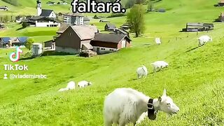 Salmos 23