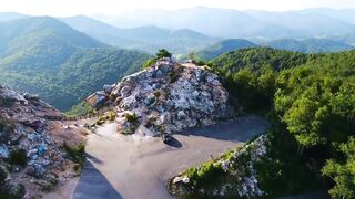Animals, Waterfall & Forest Video   2023