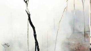 Déforestation & fires in amazon are getting