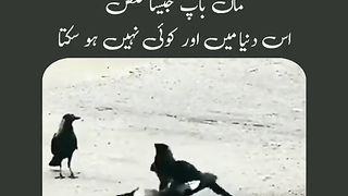 Ma Ka Pyar Bhi duniya mein Anmol hai