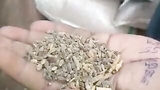 News update Pakistan ????????️???? 2