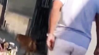 video lucu bikin ngakak sakit