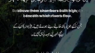 #AlQuran #Talawat#Islami#Dua