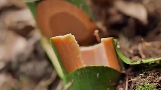 Sit back and enjoy the traditional art of bamboo weaving!