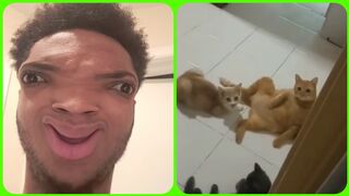 YOU LAUGH YOU BROKE AF | MEMES