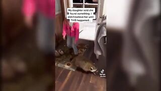 Funny Tik Toks That Made Me Side Eye ???? 2
