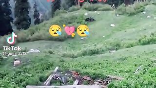 Whatsapp status 5