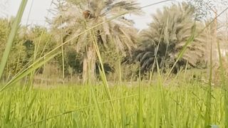Nature 8