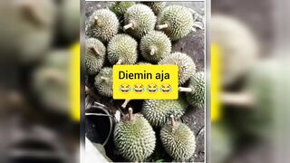 Kata mutiara cinta untuk kekasih ????