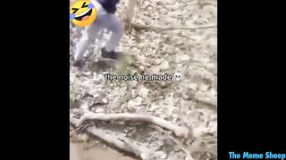 try not to die laughing ???? 6