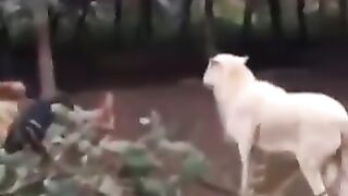 Compilation des moments les plus drôles de l’année ????????????