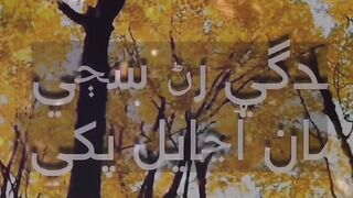 sham_jo_hee_peher_❤️_شام_جو_هي_پهر_|_Haa_maan_sindhi_aahyan
