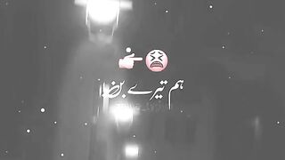 Poetry video 4