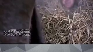 hilarious 12