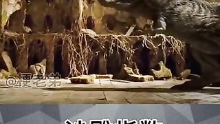 hilarious 10