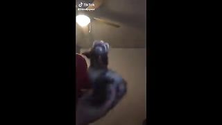These must be the cutest pets on TikTok