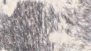 وداعا التونيا