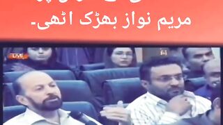 مریم نواز کی شکل دیکھ ????????????????????
