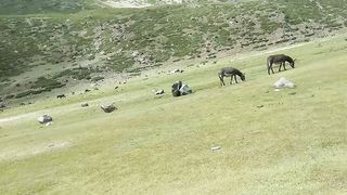 Beauty of Nature 3