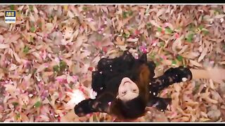 Zeeshan_Rokhri_New_Saraiki_song_2023
