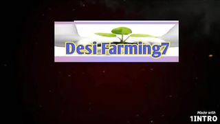 Simple method propagate grape tree with water,, growing grape tree at home