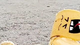 Entertainment magic and funny video
