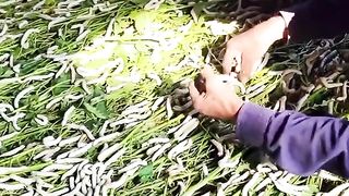 How to make polyester fabric